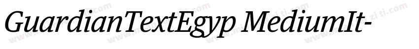GuardianTextEgyp MediumIt字体转换